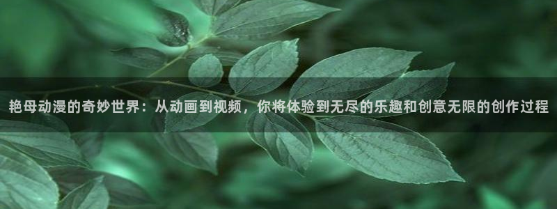 里番动漫有那些：艳母动漫的奇妙世界：从动画到视频，你将体验到无尽的乐趣和创意无限的创作过程