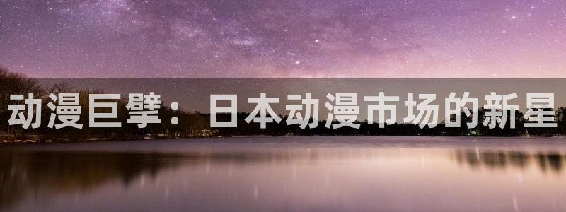 第一动漫网里番：动漫巨擘：日本动漫市场的新星